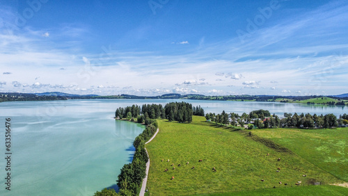 panorama of the lake Forggensee near Füssen Germany 