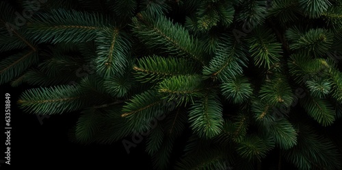Green fir background