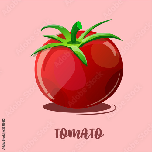 red tomato clipart.Isolated object.Tomatos cartoon infographics,illustration cartoon tomato simple flat,cute tomato for kindergarten child learning,tomato for flash card of kidsVegetable from the farm photo