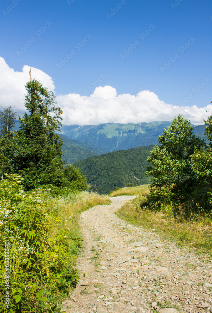 Fototapeta premium Beautiful panoramic landscape - peaks of high mountains between green trees and blue sky with white clouds on Krasnaya Polyana in Krasnodar krai Russia