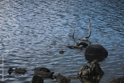 lac du Bouchet photo