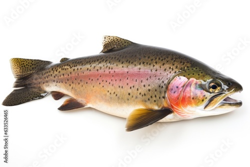 A rainbow trout fish with a dark green back, a pink stripe, and orange fins on a white background.