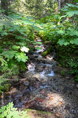 water, nature, stream, forest, landscape, creek, stone, flowing
