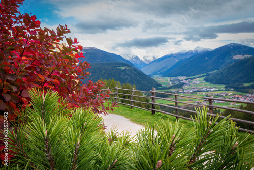 Leaves in autum colors in front of Antholz Valley Valle di Anterselva photo