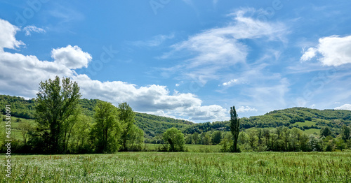 Landscape with field grass, trees and hills under a blu sky with some clouds © Sylvain