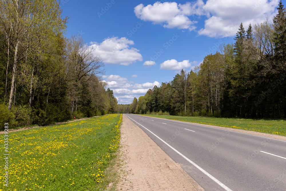 paved road in the countryside in the spring forest