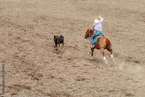 A cowboy is riding a horse in pursuit of a calf. He trying to lasso the calf in a tie down roping contest at a rodeo. The calf is brown and the cowboy is wearing blue with a white hat. The ground dirt