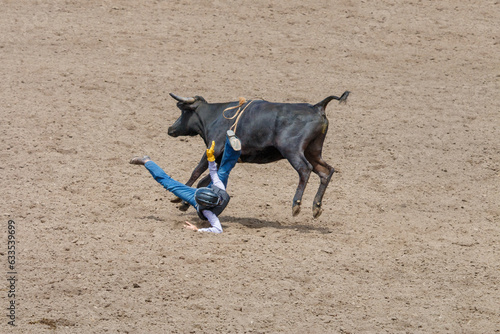 A cowboy is falling off a bucking calf at a rodeo in an arena. The cowboy is wearing blue with a black helmet They are in a dirt arena.