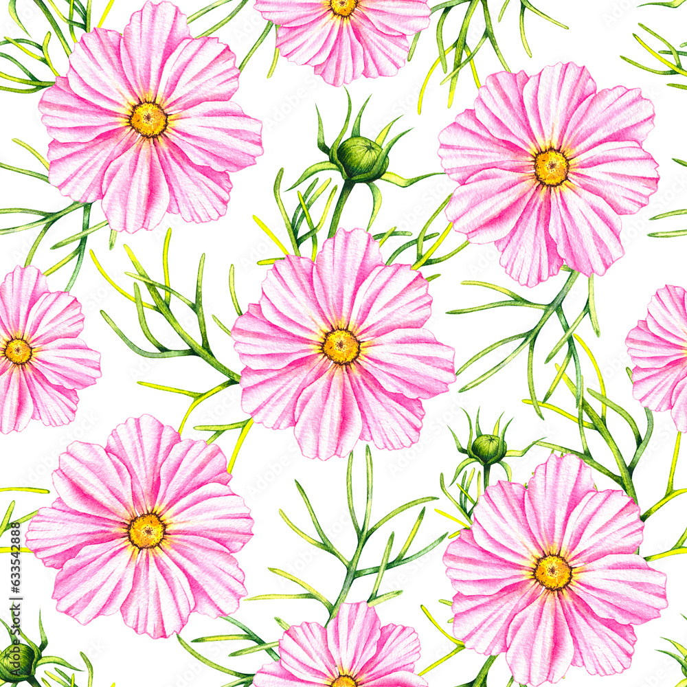 Watercolor cosmos flowers hand drawn seamless pattern Watercolor cosmos flowers hand drawn seamless pattern