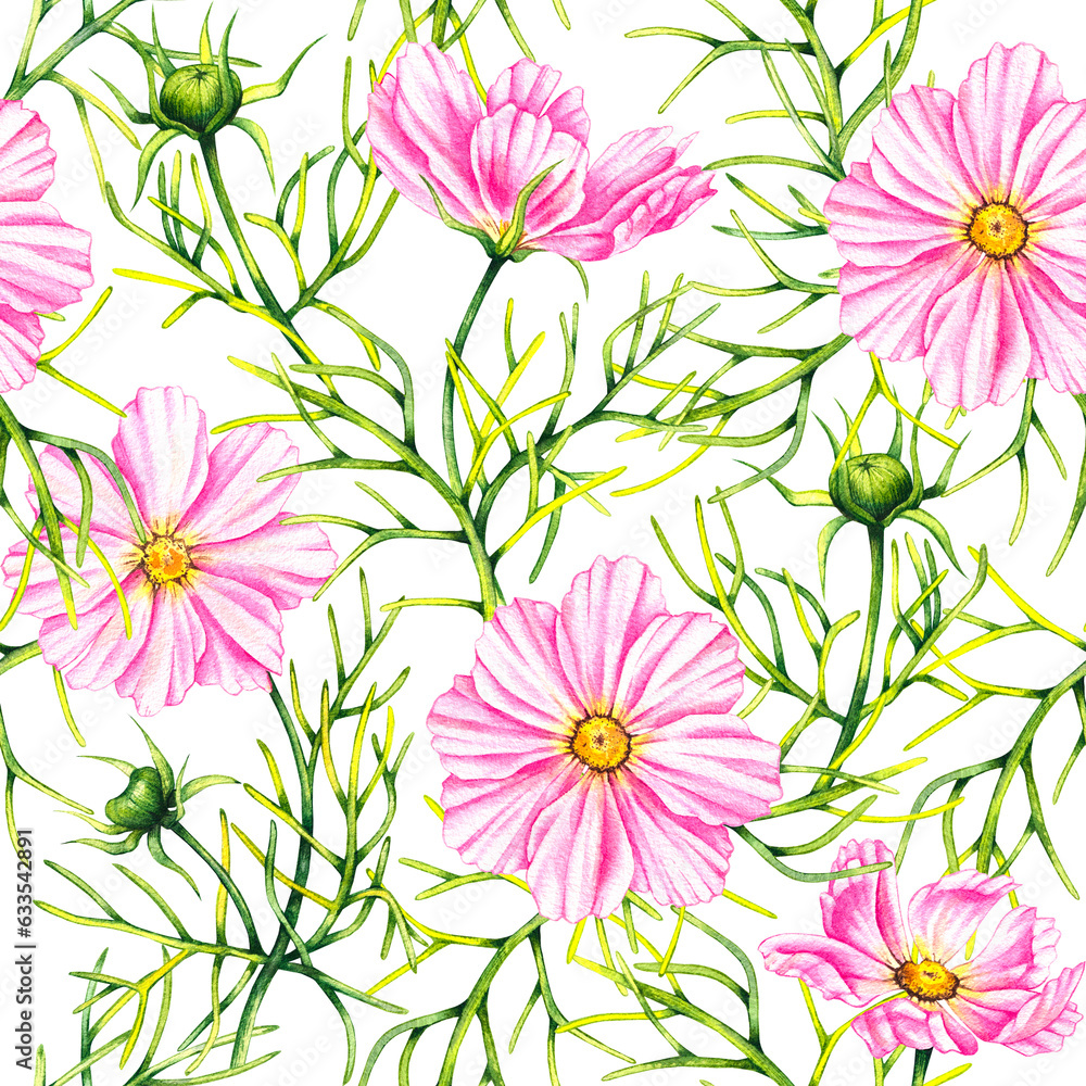 Watercolor cosmos flowers hand drawn seamless pattern