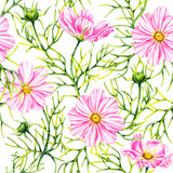 Watercolor cosmos flowers hand drawn seamless pattern