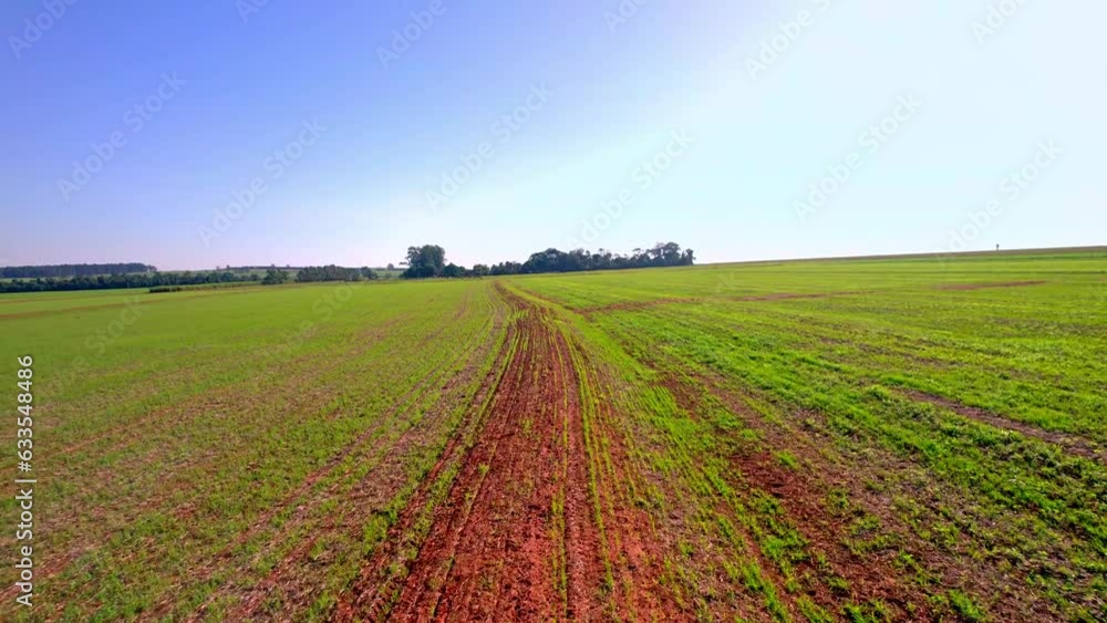 Rows of crops growing on a huge plantation in Brazil - aerial flyover Rows of crops growing on a huge plantation in Brazil - aerial flyover