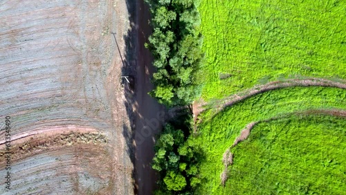 Preparation of degraded pasture area. Wind barrier of trees. Field of crops