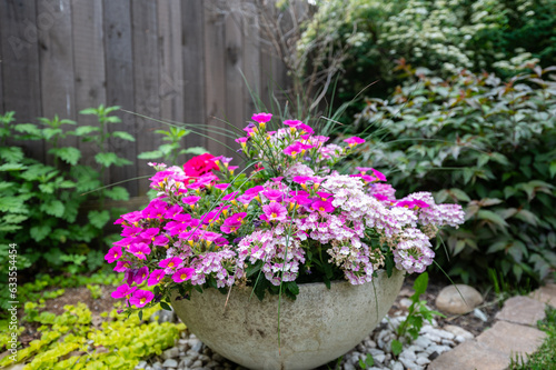 Enjoy the delicate charm of pink flowers in a pot, an epitome of grace and beauty. These blossoms, encased in their container, bring a touch of elegance to any space, whether indoors or in a garden se