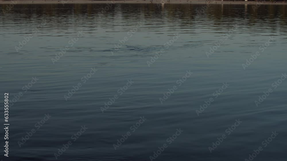 Panoramic video of river Dnipro, evening sunset. Real-time UHD video