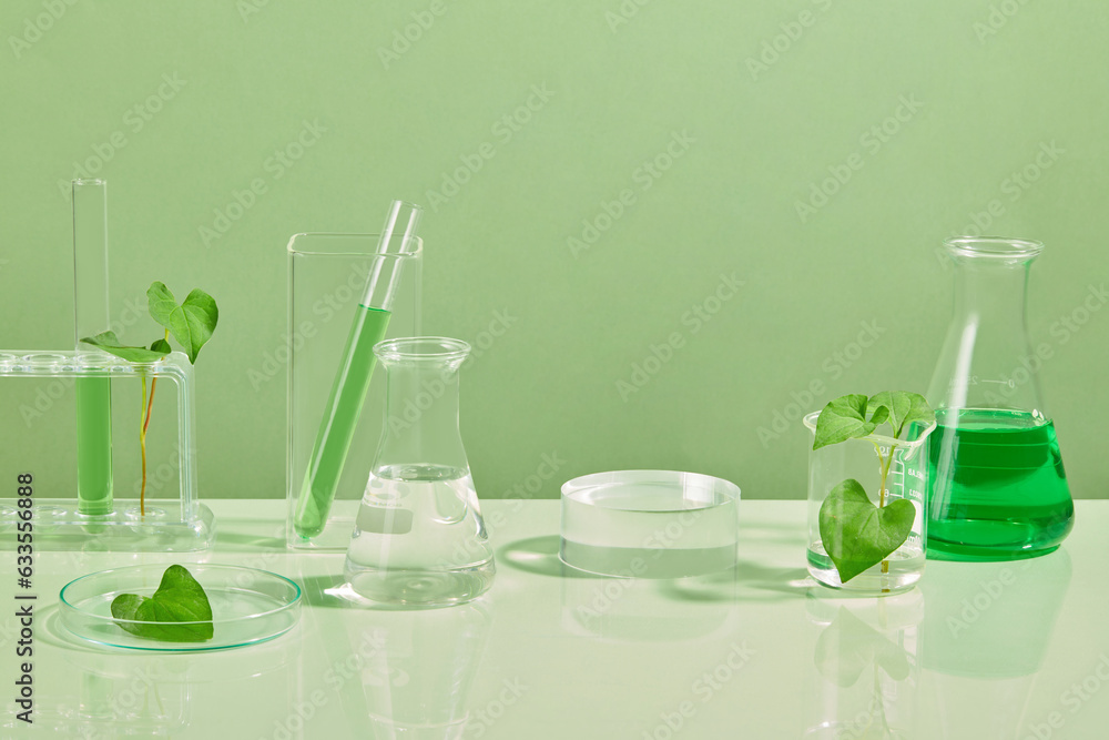 Laboratory glassware filled with green fluid decorated with fresh fish mint leaves. A podium with blank space. Fish mint (Houttuynia cordata) will help reduce excess fat in the body Laboratory glassware filled with green fluid decorated with fresh fish mint leaves. A podium with blank space. Fish mint (Houttuynia cordata) will help reduce excess fat in the body