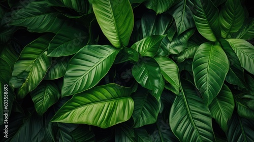 Tropical leaves background. Green leaves pattern. Tropical leaves texture, Generative AI © tanatat