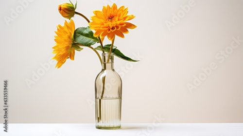 flower in vase © Afriniko