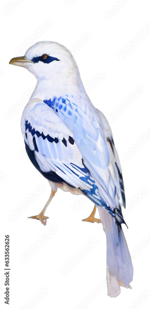 Obraz premium bird,generative ai, vector isolated for design