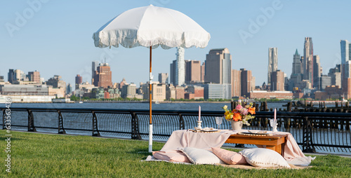 luxury picnic dinner. summer outdoor romance. romantic picnic in summer. summer picnic in the central park. romantic date in manhattan. picnic in new york. wedding dinner outside