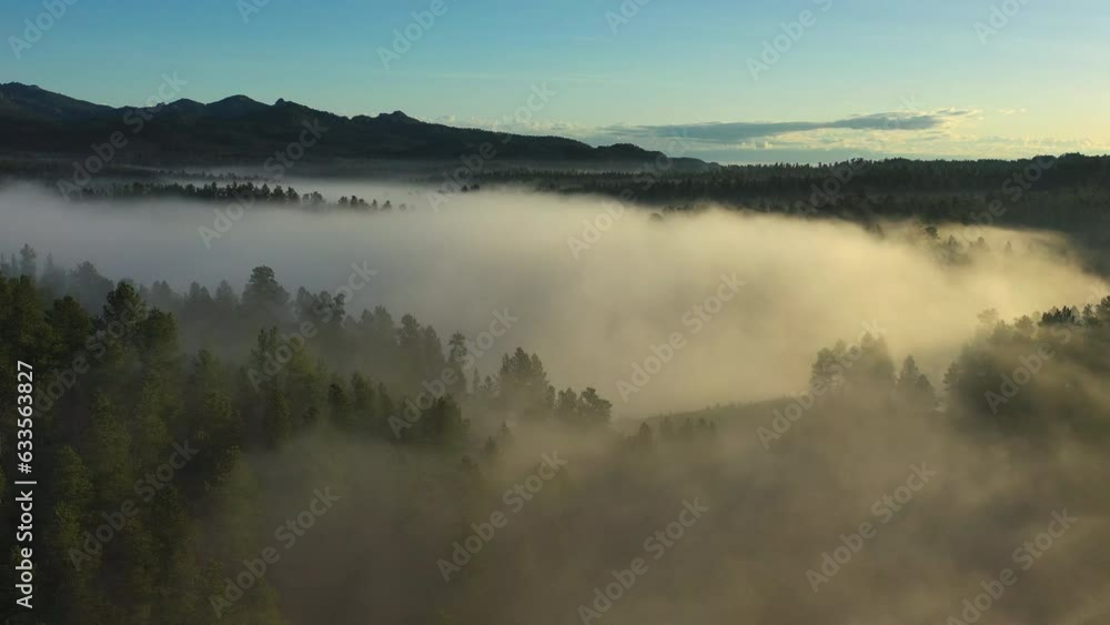 Fog settles over a lake nestled into the Black Hills of South Dakota Fog settles over a lake nestled into the Black Hills of South Dakota