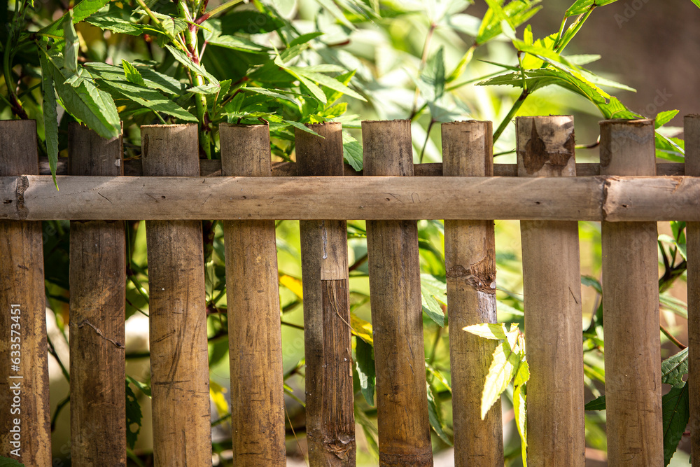 fence with green leaves fence with green leaves