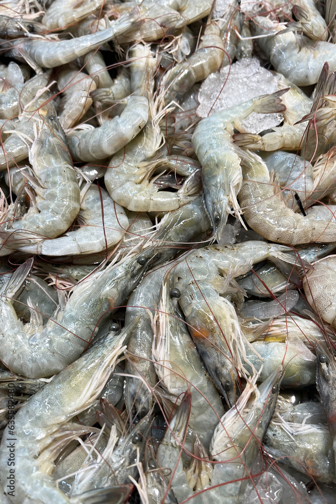 Fresh sea shrimp on ice. Seafood market