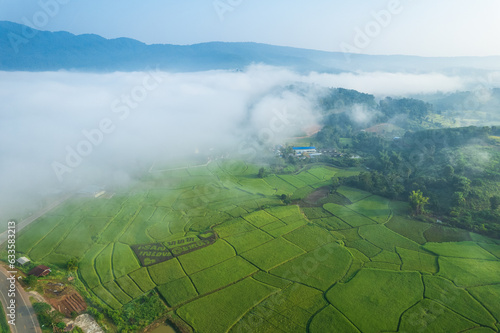Beautiful  rice field in the morning at countryside of Loei province, Thailand. © Nakornthai