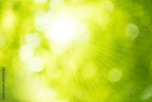 Blurred bokeh of tree garden with sunny flare light in morning background