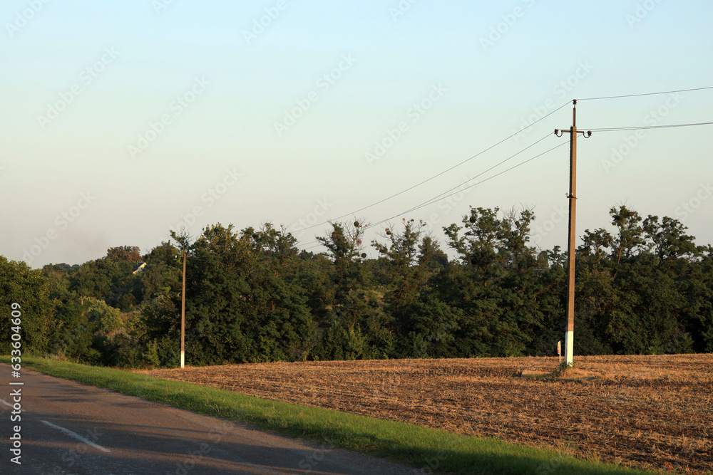 Power poles in a field near the road Power poles in a field near the road