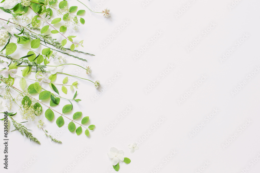 Obraz premium wildflowers and plants on white background