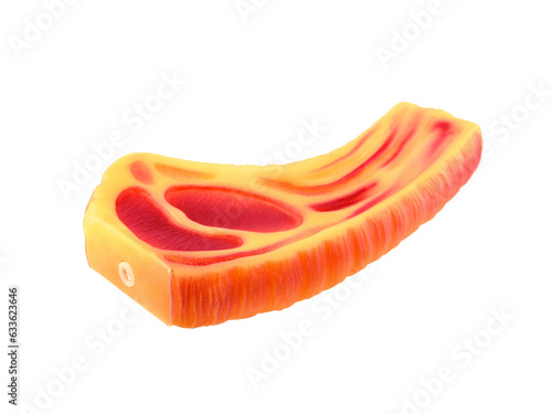 rubber rib steak isolated on transparent, puppy dog toy imitated beef steak for relax with chewing