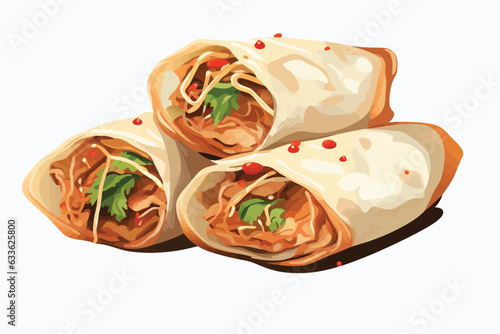 Chinese traditional spring rolls vector flat isolated illustration photo