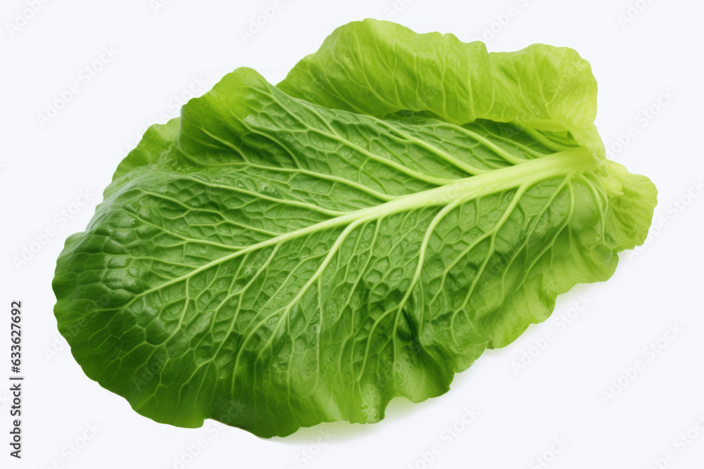 Vibrant Cabbage Leaf on a Clean White Background Vibrant Cabbage Leaf on a Clean White Background