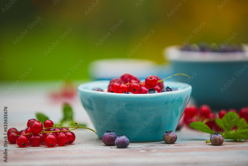 Yogurt with granola and fresh berries on the garden table Yogurt with granola and fresh berries on the garden table