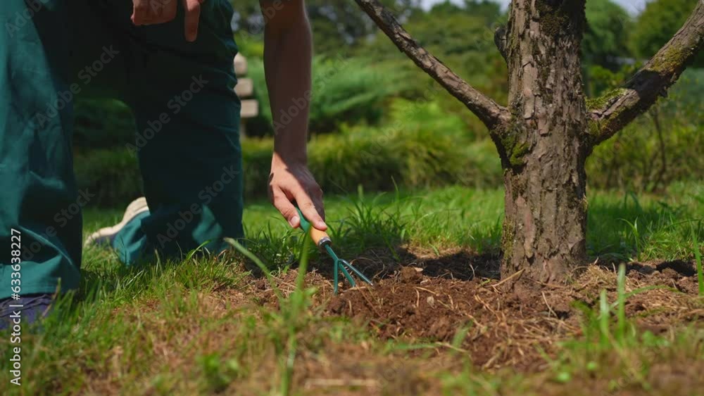 a male gardener in uniform takes care of a tree in a Japanese garden park close up a male gardener in uniform takes care of a tree in a Japanese garden park close up