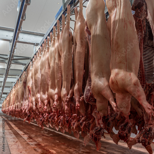 A lot of chopped fresh raw pork meat hanging and arrange and processing deposit in a refrigerator, in a meat factory.