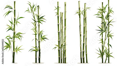 High-definition collection of bamboo bundles in forest trees isolated on white background