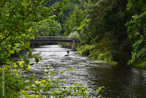 Fisherman throwing a fishing rod out, standing in the river Roer, Eifel, Germany, surrounded by lush green foliage, in front of a bridge crossing the water photo