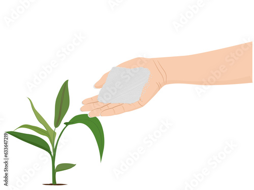 hand fertilizing plants on white background.