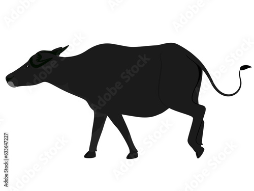 Water buffalo on a white background.