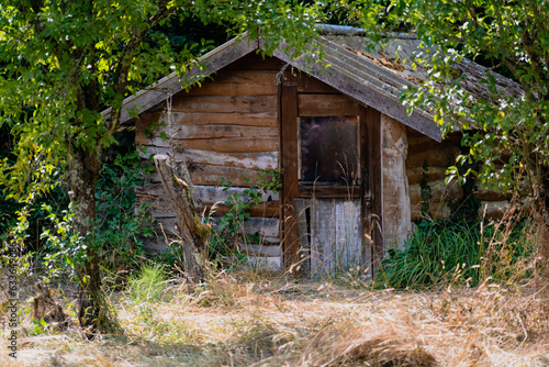 Pretty self-built wooden cabin in a wooded garden