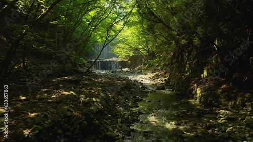 森の中の砂防ダムから流れ落ちる滝と川