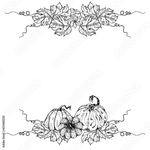 Hand drawn ink vector pumpkin gourd squash. Sketch illustration art for Thanksgiving, Halloween, harvest, farming. Square frame, outline. Design for restaurant menu print, cafe, website, invitation