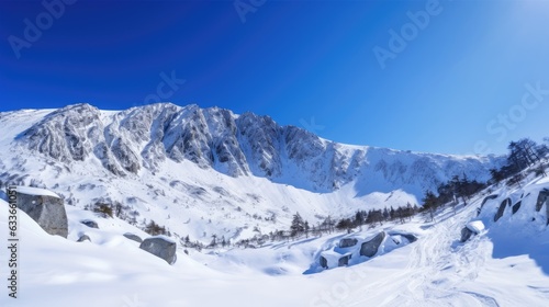 Snowed mountain with blue sky © ZEKINDIGITAL