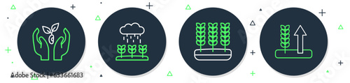 Set line Plant sprouts grow in the rain, Wheat, hand and icon. Vector