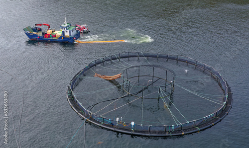 Fish farm salmon round nets in natural environment Loch Fyne Arygll and Bute Scotland photo