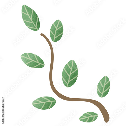 Tree branch 