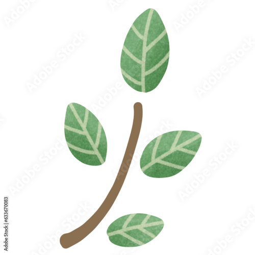 Tree branch 