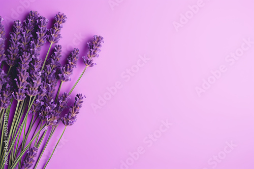 A  flat lay view of violet lavender flowers organised on a vibrant purple backdrop.